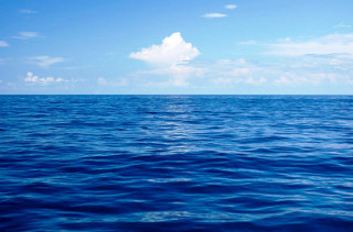 Pesca do atum é a mais vulnerável às alterações climáticas revela novo estudo científico do Marine Stewardship Council