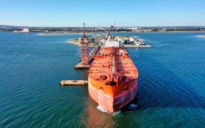 Dia Europeu do Mar (20/05): quatro caminhos para proteger o ecossistema marinho