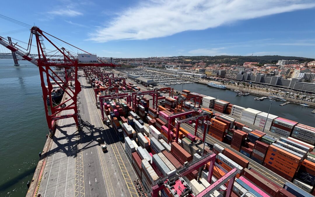 Terminal YILPORT Liscont regista crescimento expressivo e prepara expansão de capacidade