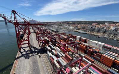 Terminal YILPORT Liscont regista crescimento expressivo e prepara expansão de capacidade