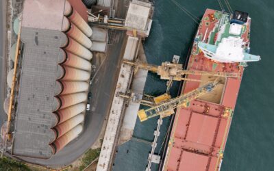 Portos de Lisboa e Setúbal crescem no primeiro trimestre após recuperação em março