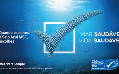 MSC lança V edição da “Semana Mar para Sempre” em Portugal