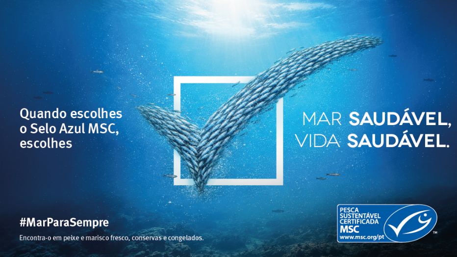 Imagem MSC Counsil