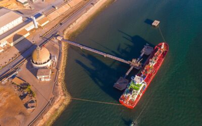 Porto de Setúbal prepara concessão do Terminal Multiusos da Mitrena