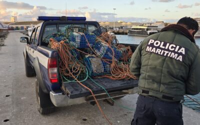 Polícia Marítima apreende 40 armadilhas de gaiola sem sinalização em Peniche