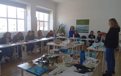 Projeto EduMar promove literacia marinha e destaca Áreas Marinhas Protegidas em Cascais