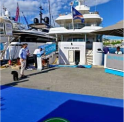 Cannes Yachting Festival volta a destacar inovação sustentável com rota dedicada e quatro prémios em 2026