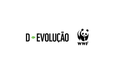 WWF Portugal instala abrigos subaquáticos na Trafaria para proteger cavalos-marinhos