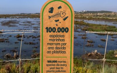 EMARP instala sinalética ambiental e ecopontos na Quinta da Rocha