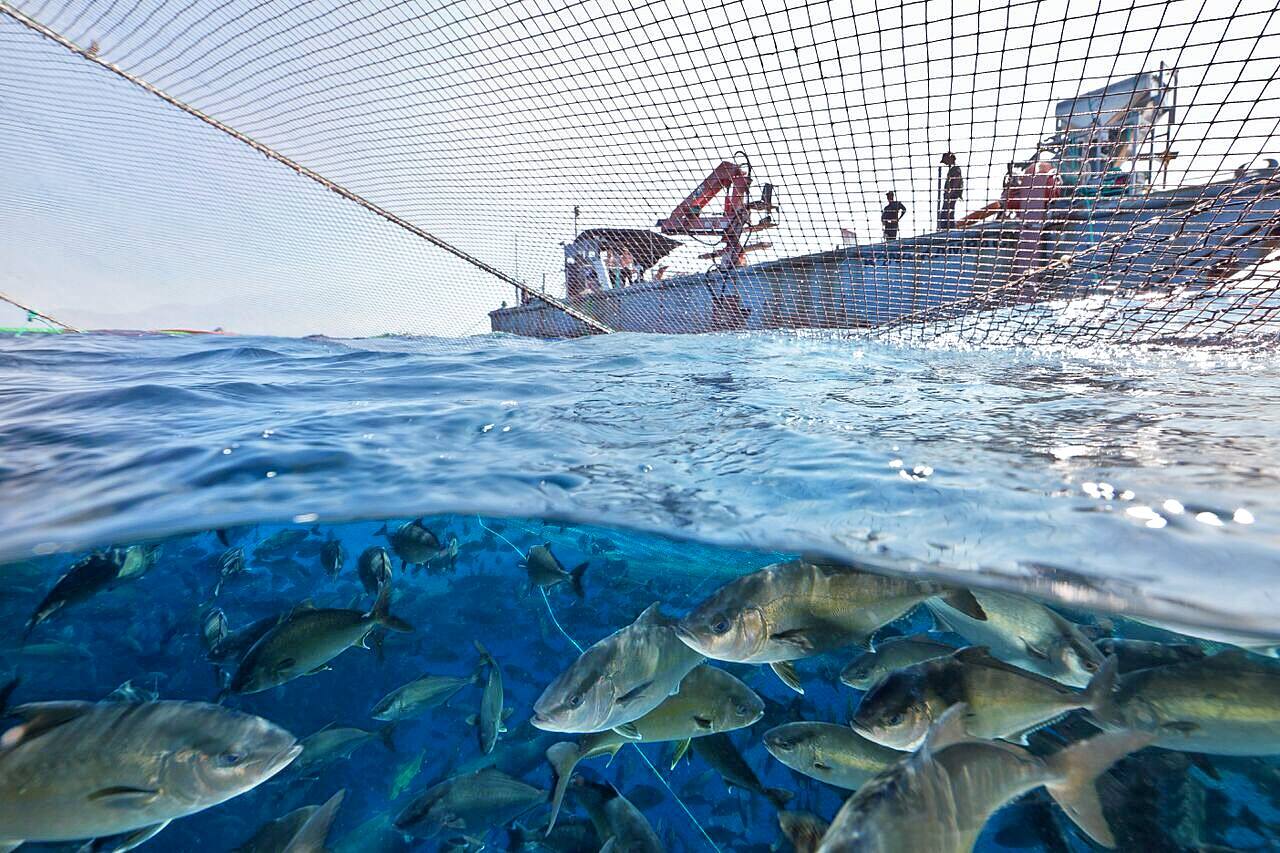 blue-ocean-mariculture-net-pen