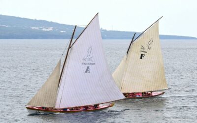 Regata de S. Pedro em imagens – botes baleeiros mantêm viva a tradição