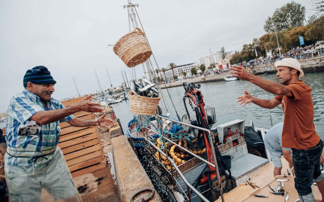 Festival da Sardinha abre esta terça-feira em Portimão