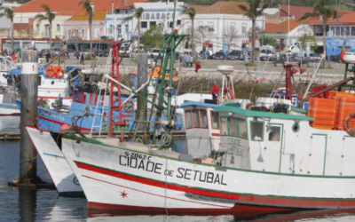 Porto de Setúbal apoia oficina para preservar embarcações tradicionais