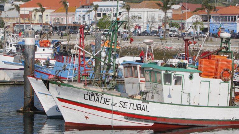 Porto de Setúbal apoia oficina para preservar embarcações tradicionais