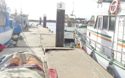 Porto Lisboa-Setúbal investe 384 mil euros na modernização da Doca de Pesca de Setúbal