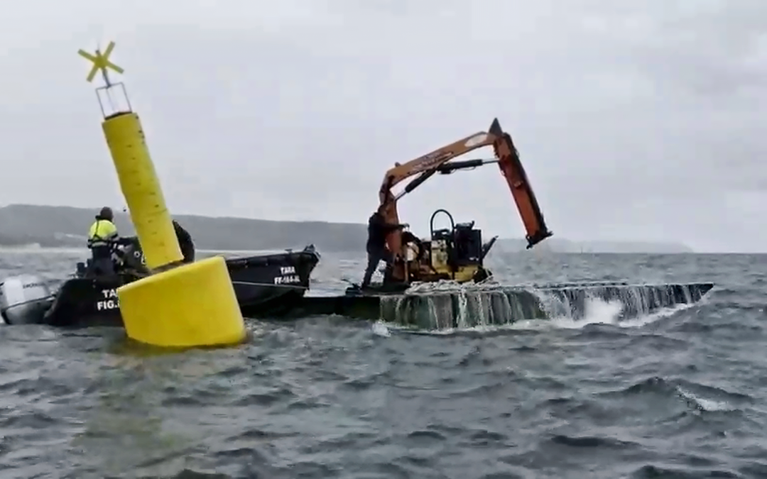 Nazaré instala assinalamento marítimo para quinta regenerativa de algas