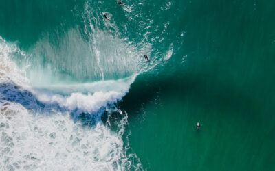 Sagres estreia evento que junta surf, cultura e comunidade durante três dias